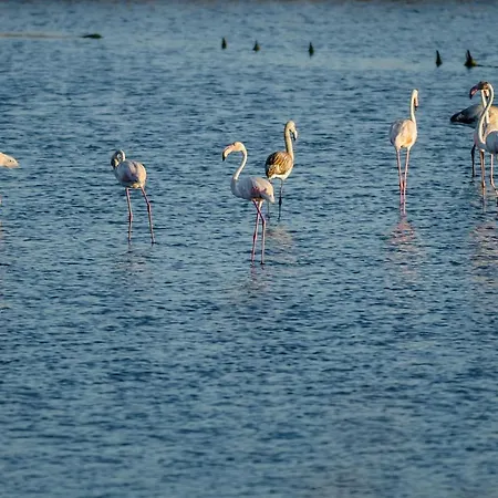 Apartment Brasil Avenue By Rent4all *