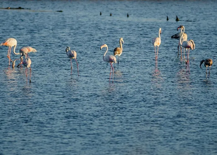 Appartamento Brasil Avenue By Rent4all *