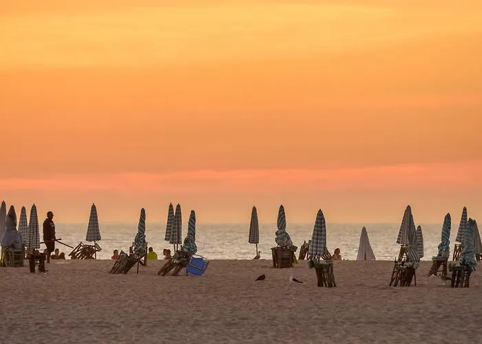 Brasil Avenue By Rent4all