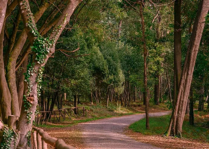 Appartamento Brasil Avenue By Rent4all Figueira da Foz